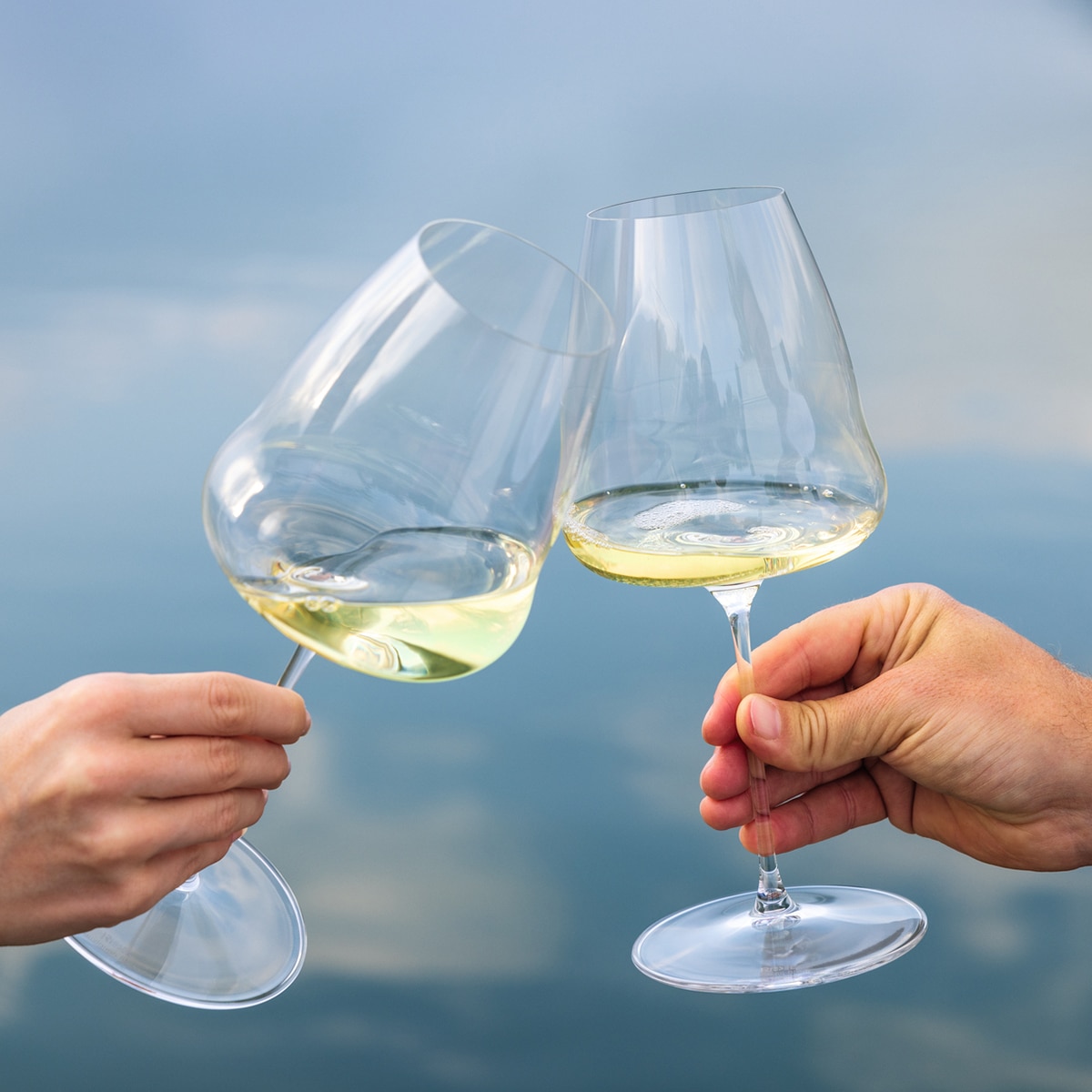 Copo de Vinho Tinto Pinot Noir Winewings Transparente-2