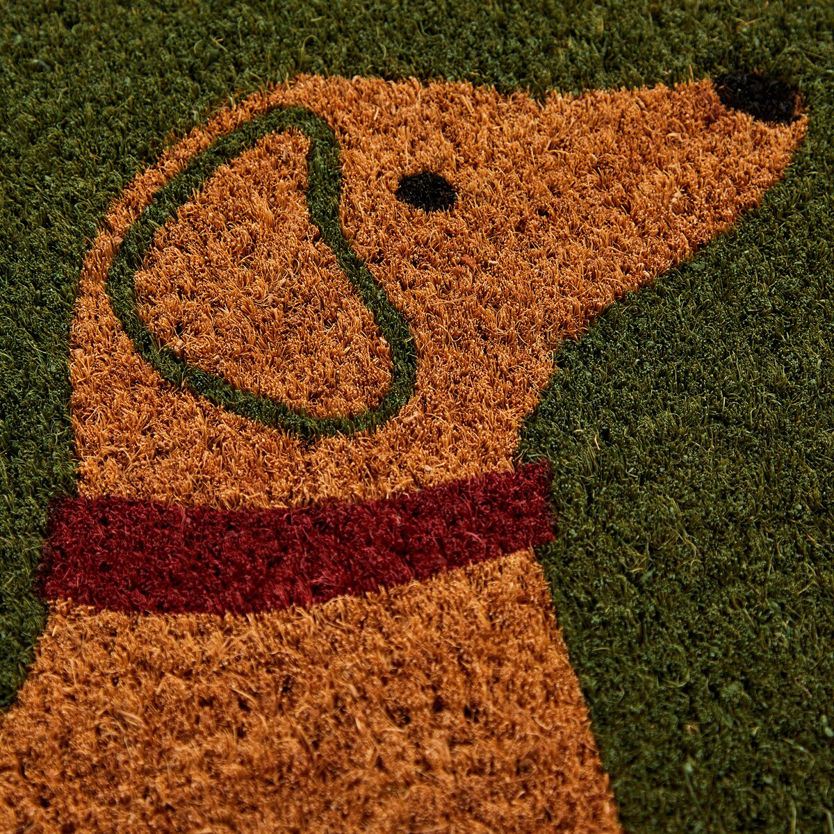 Tapete de Entrada Cães Castanho-3