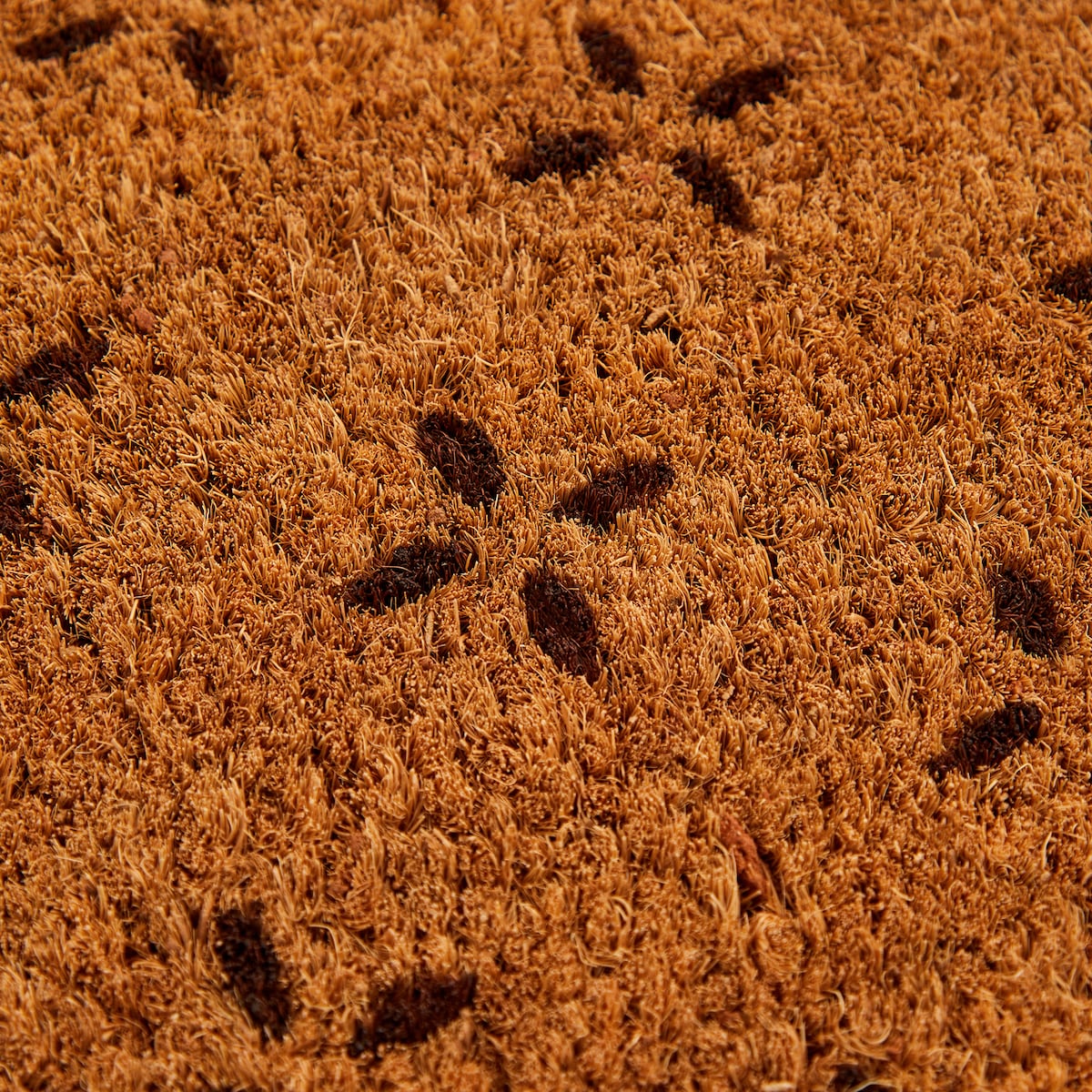 Tapete de Entrada Lys Castanho-3