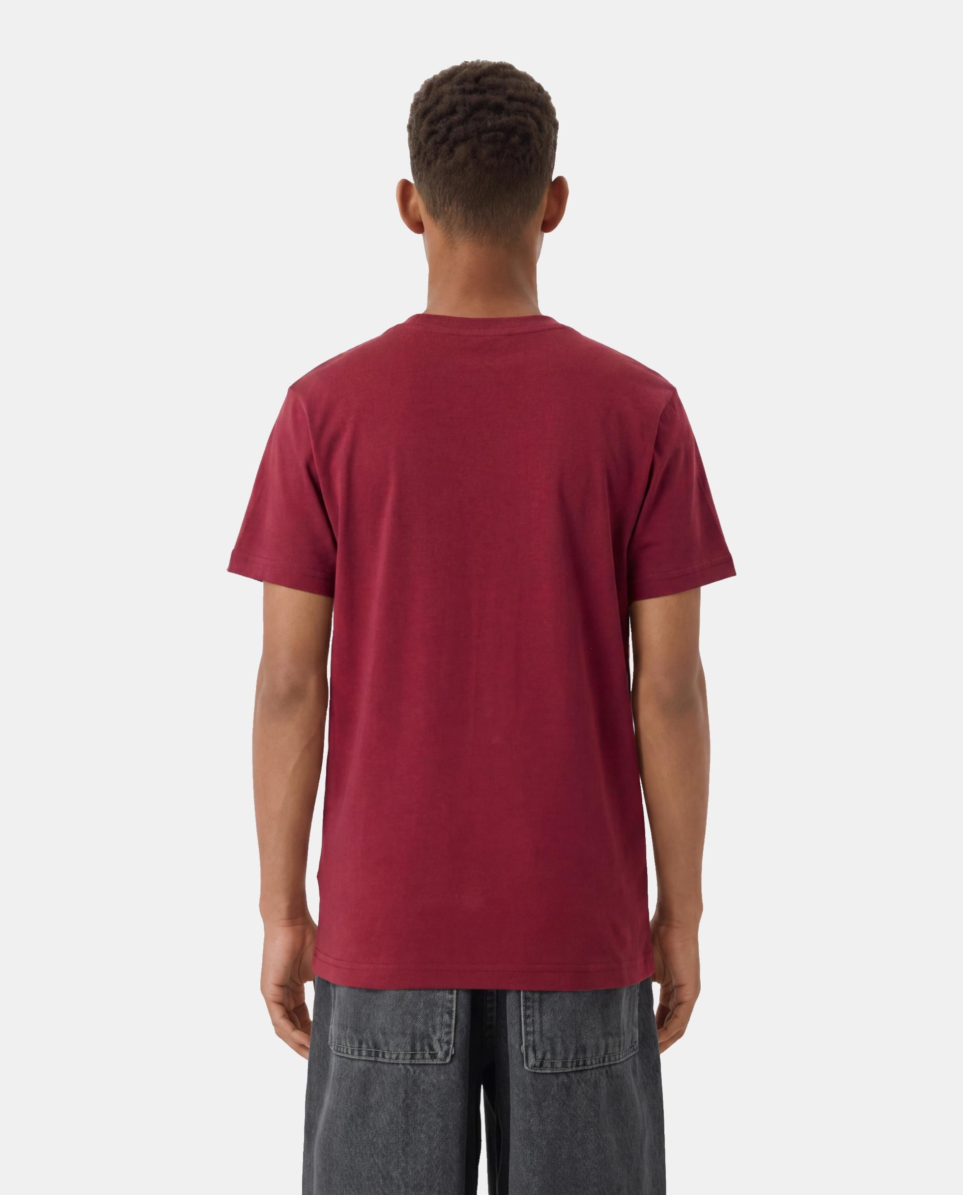 T-shirt Casual de Menino SS Tee Vermelho-2