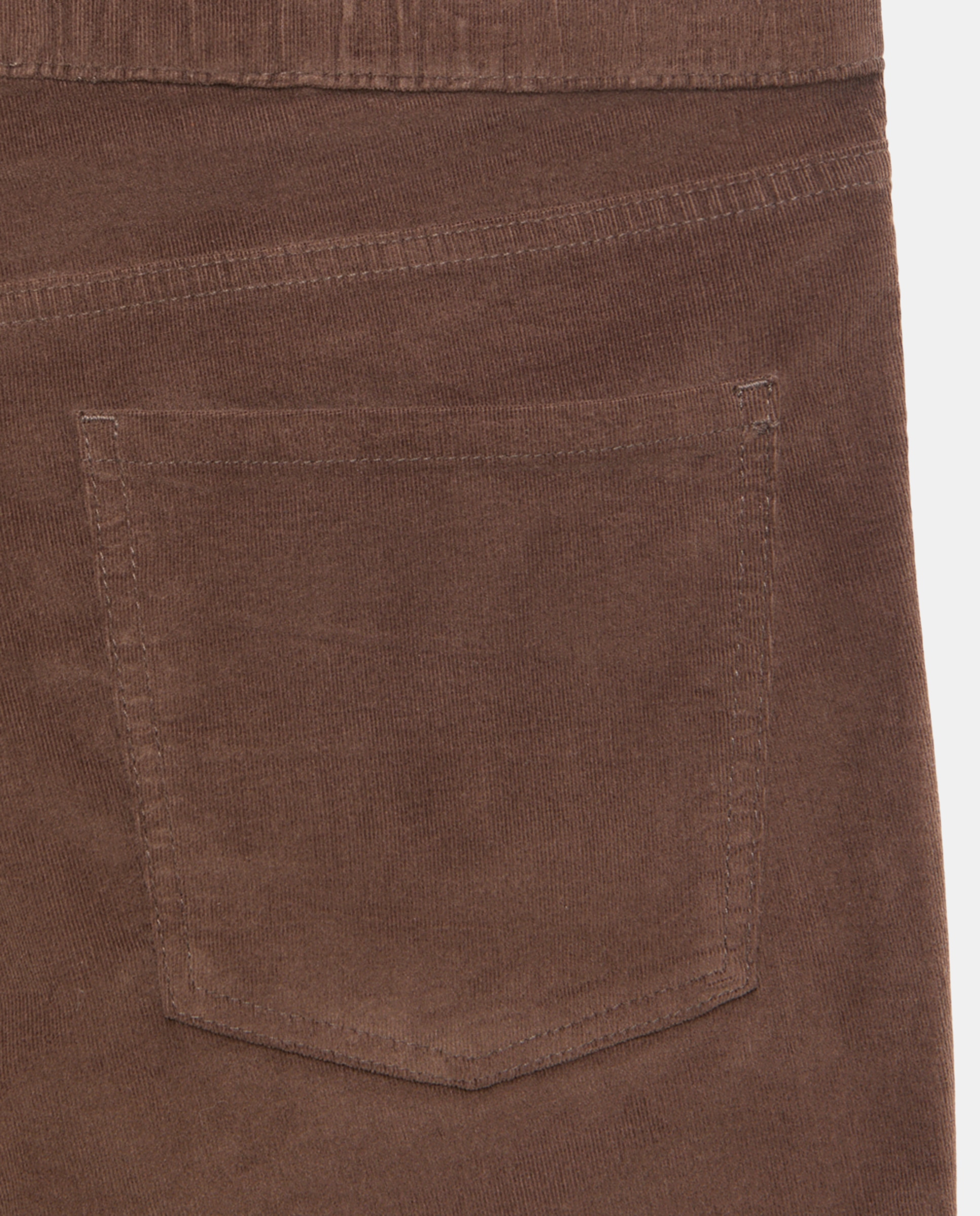 Jegging de micropana de mujer - Southern Cotton - Marrón Marrón-2