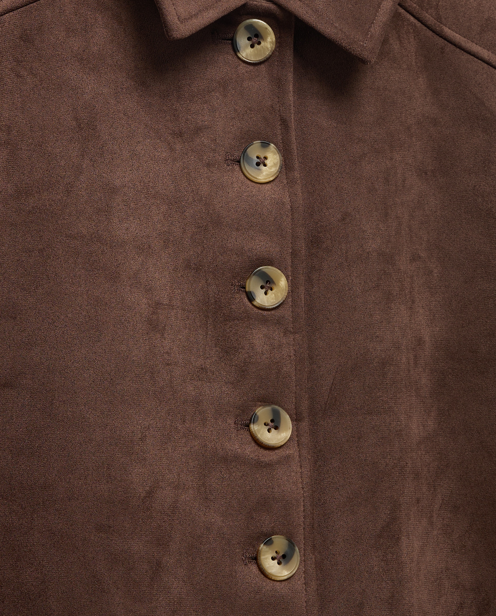 Chaqueta lisa con botones de mujer - Southern Cotton - Marrón Marrón-6