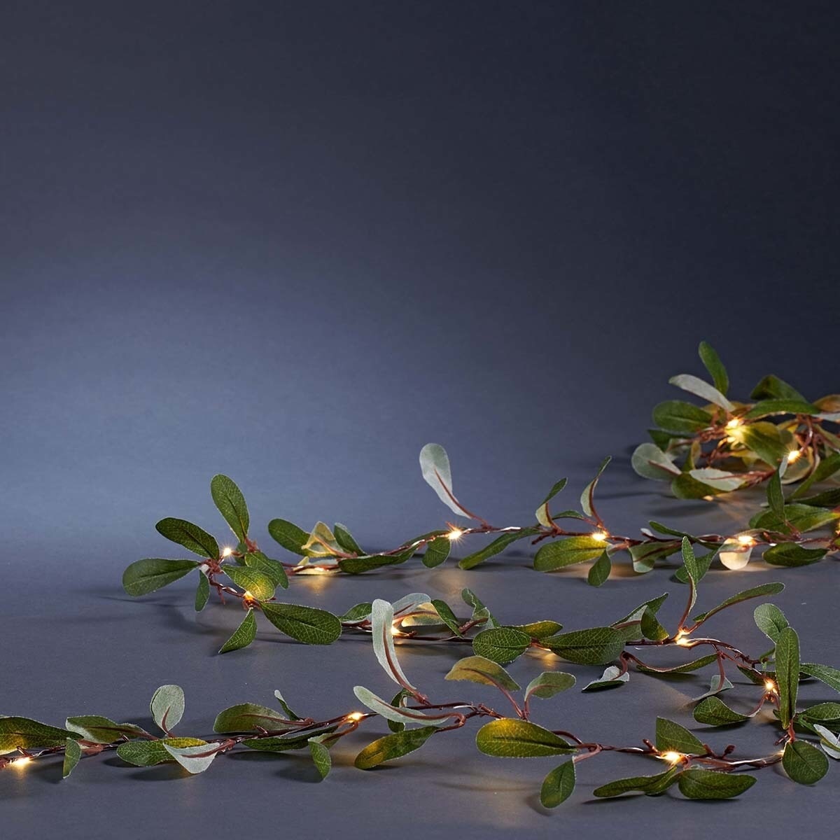 Grinalda com Folhas 25 Luzes LED Roche Verde-1