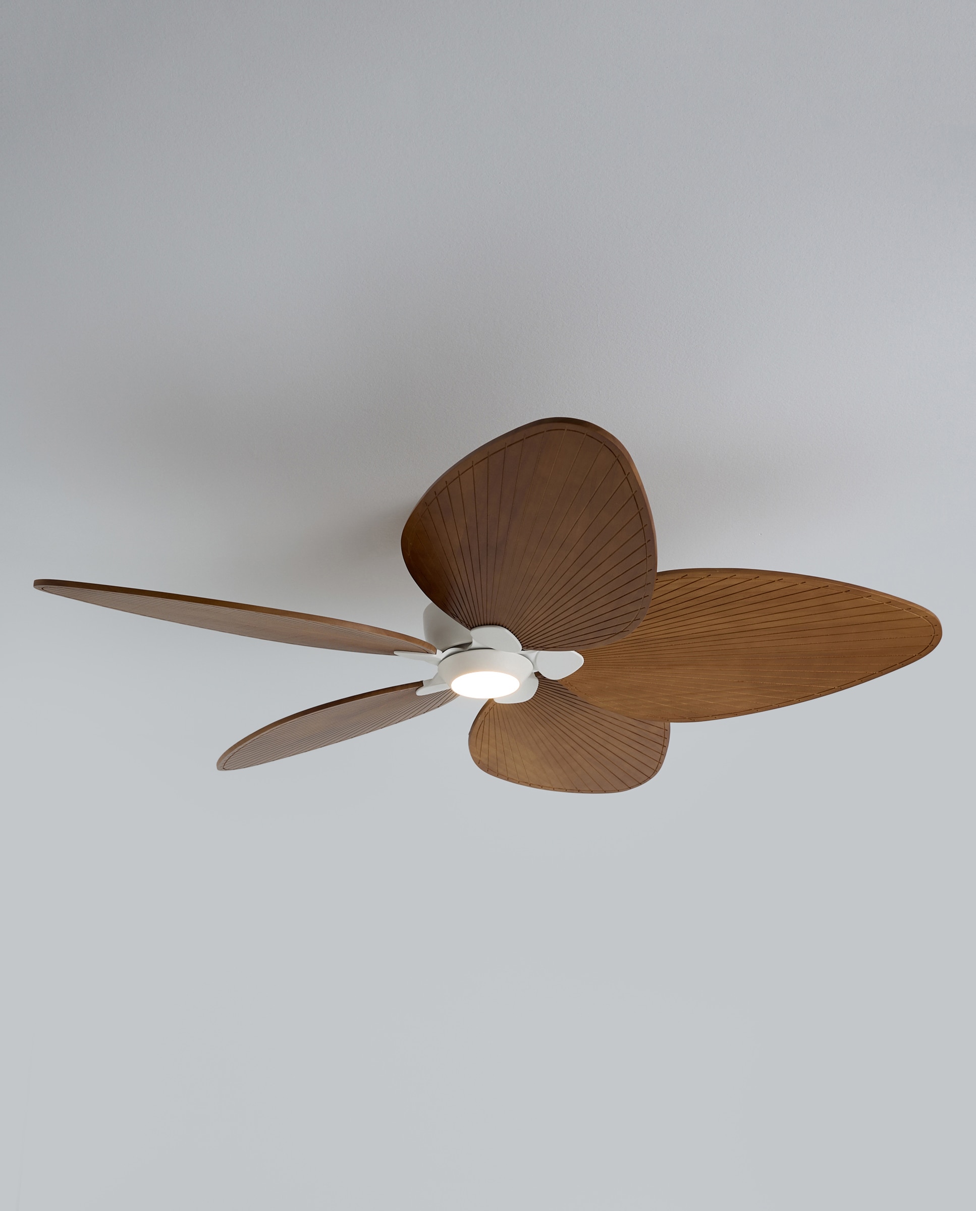 Ventoinha de Teto com Luz LED e Motor DC Alma Natural-2