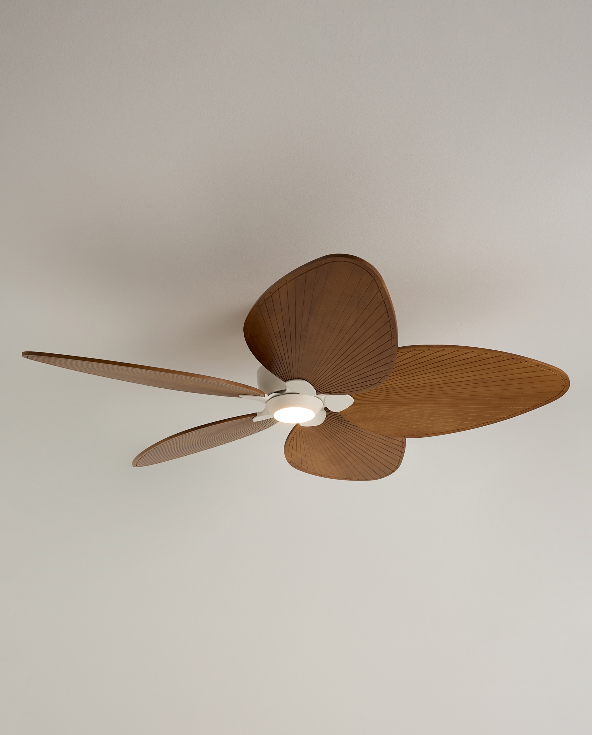 Ventoinha de Teto com Luz LED e Motor DC Alma Natural-3