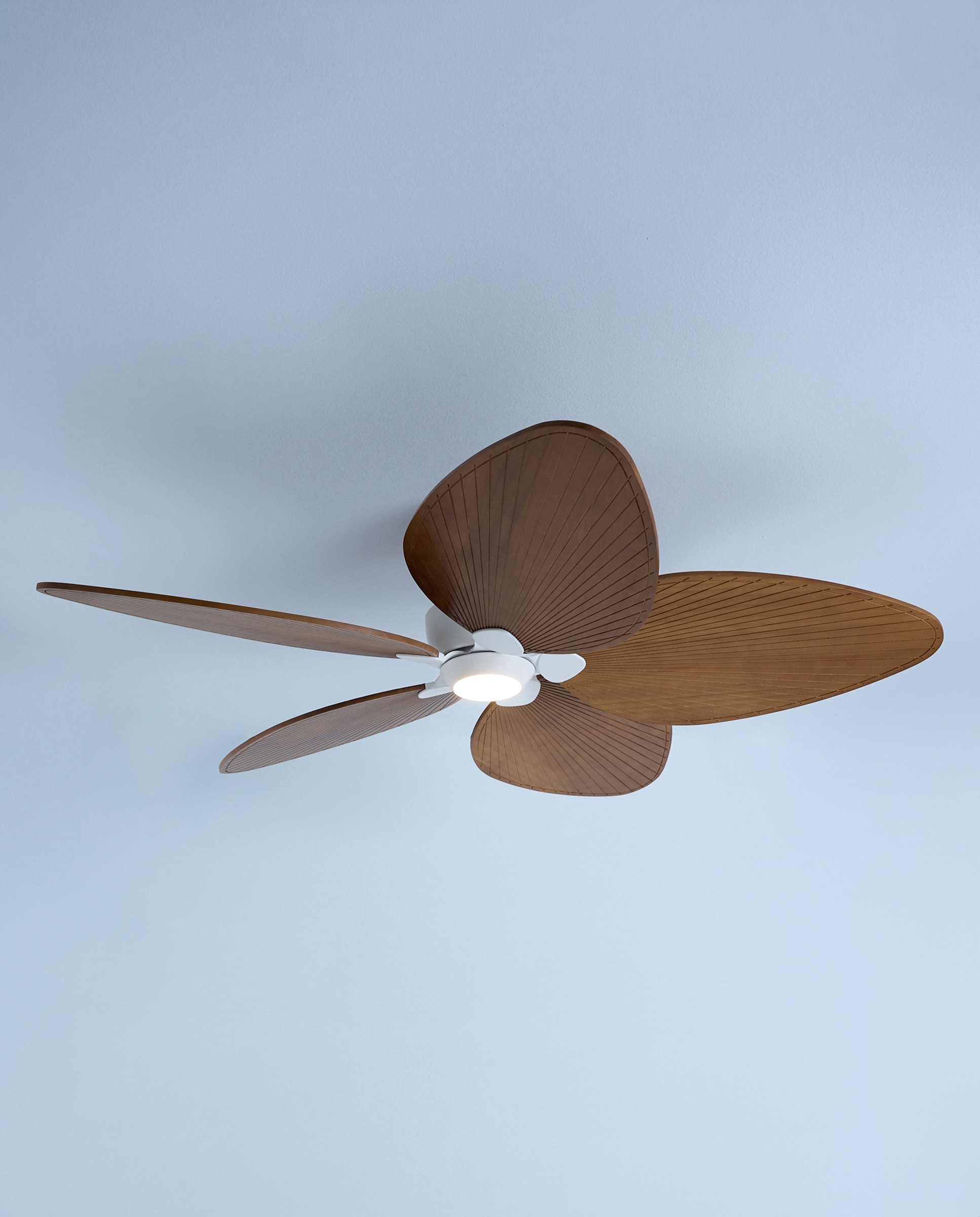 Ventoinha de Teto com Luz LED e Motor DC Alma Natural-4