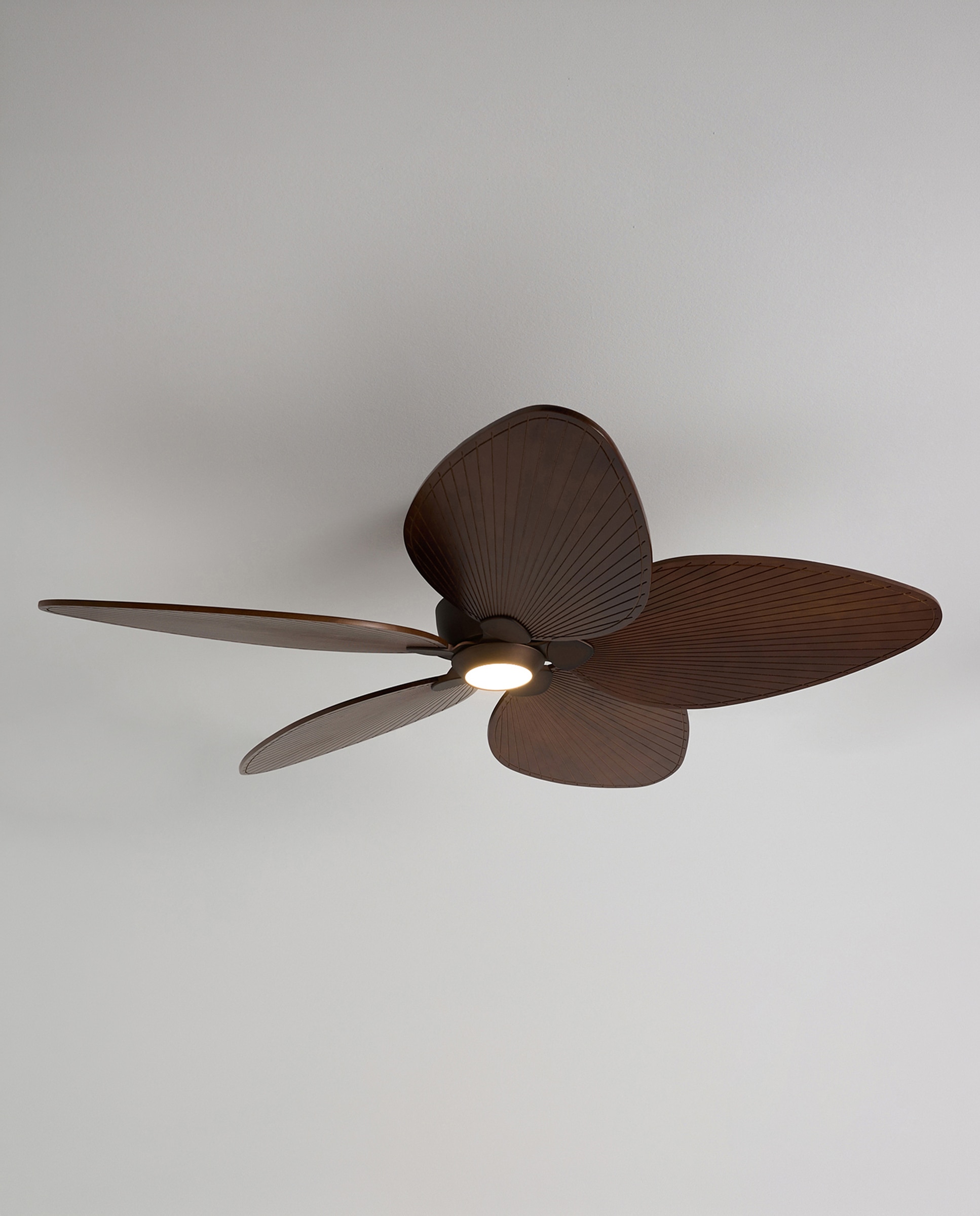 Ventoinha de Teto com Luz LED e Motor DC Alma Castanho-2