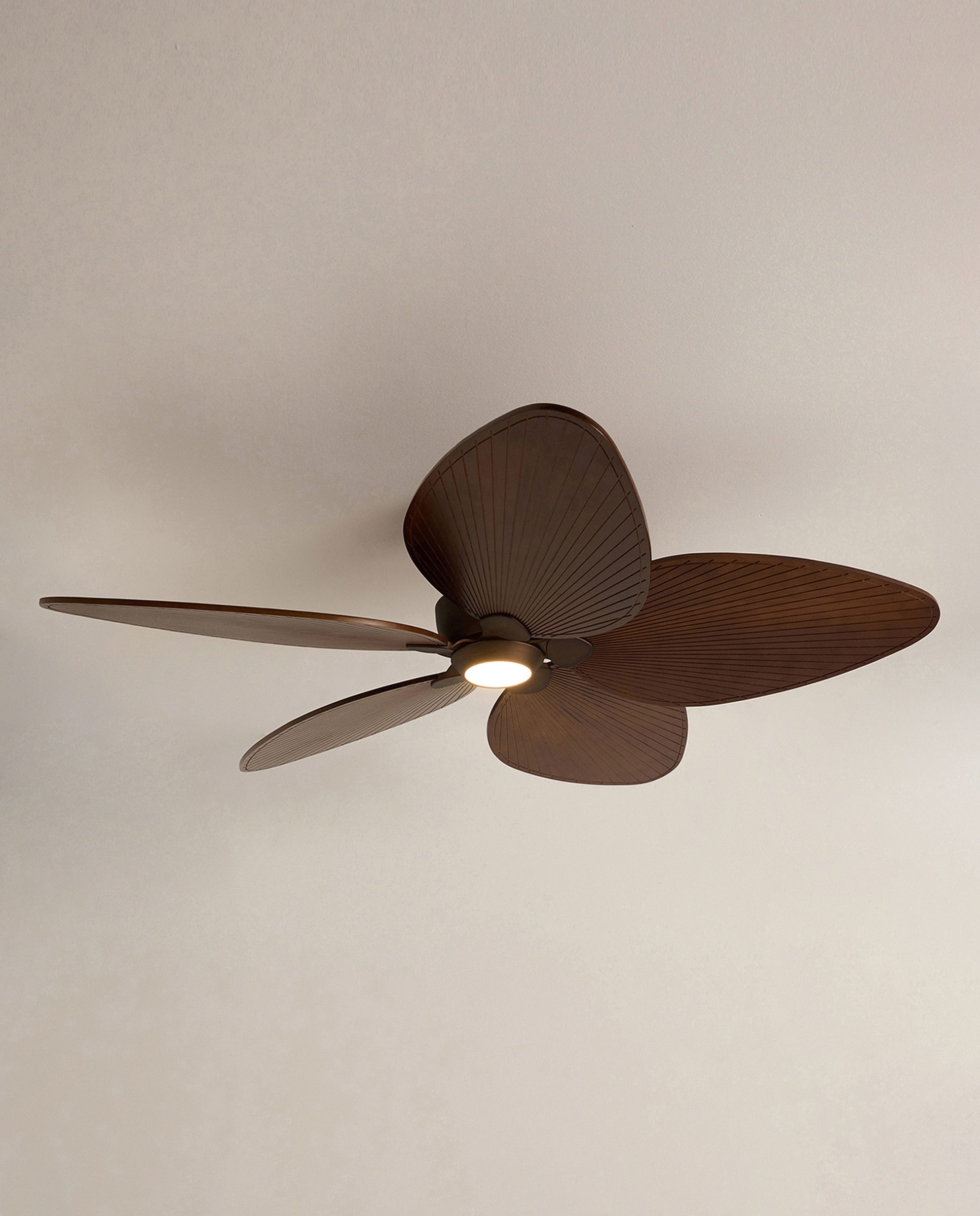 Ventoinha de Teto com Luz LED e Motor DC Alma Castanho-3