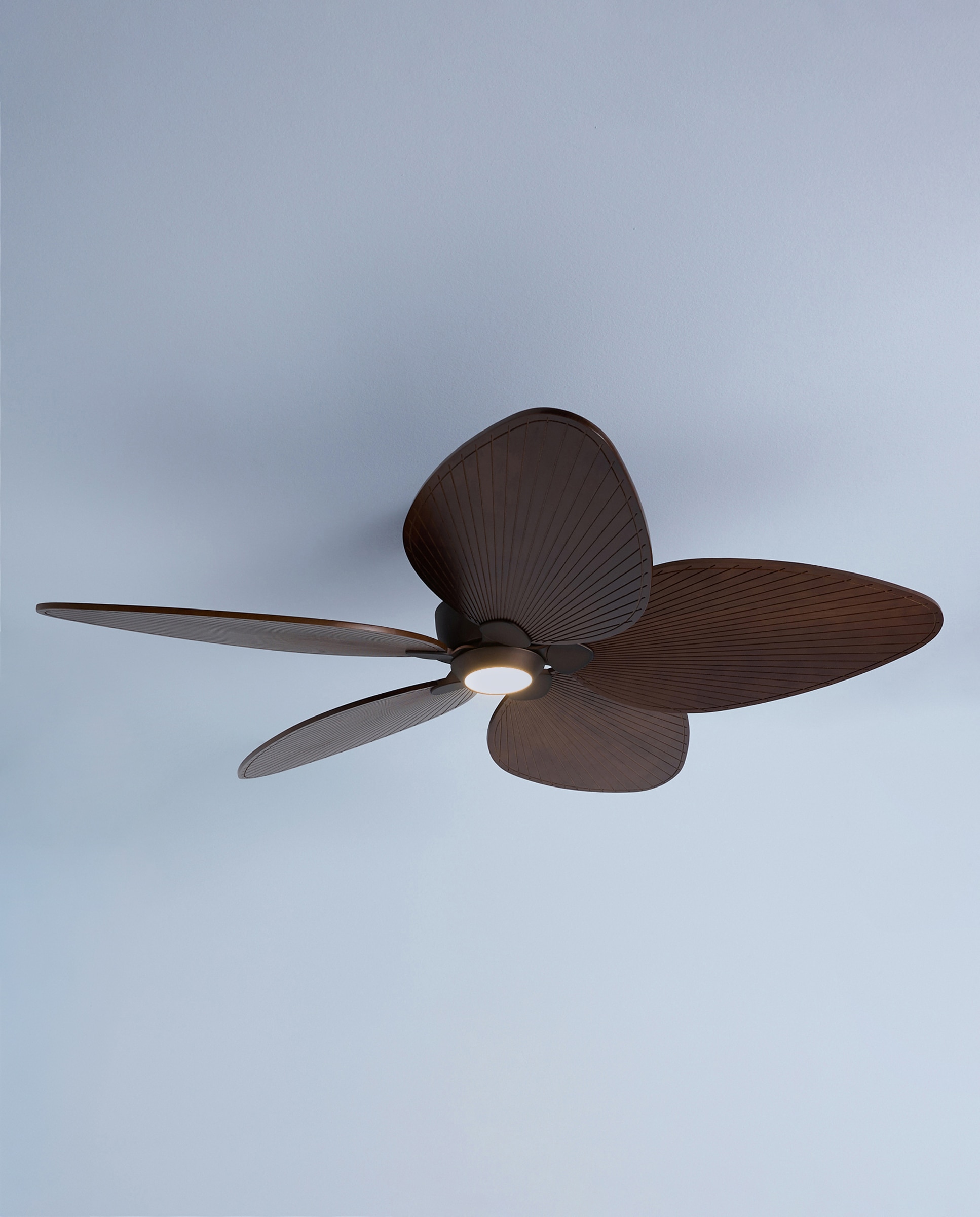 Ventoinha de Teto com Luz LED e Motor DC Alma Castanho-4