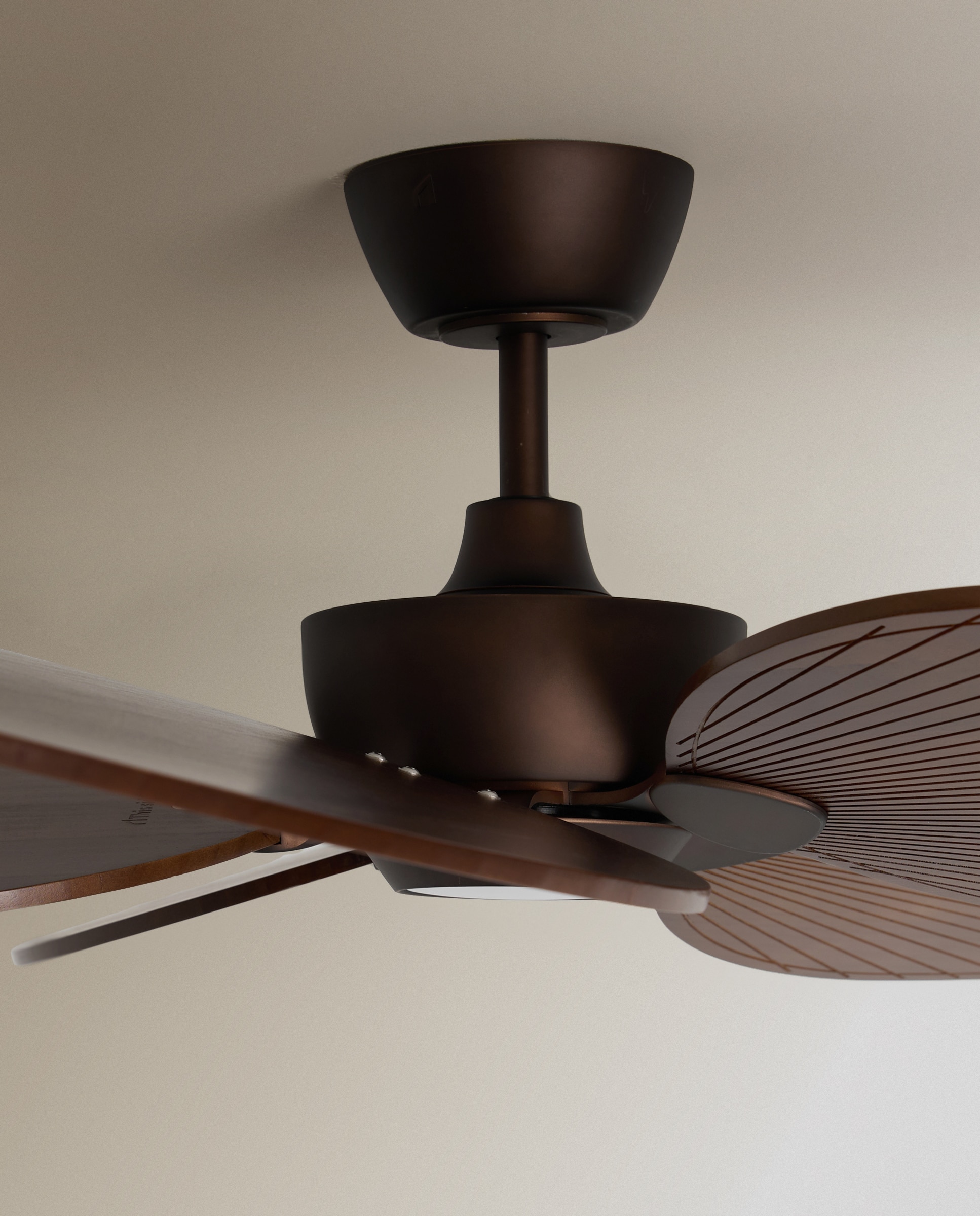 Ventoinha de Teto com Luz LED e Motor DC Alma Castanho-5