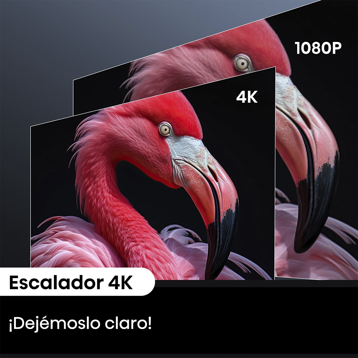 Mini Proyector Láser C2 edición Real Madrid, 65" a 300", UHD 4K, Láser Trichroma Gris metalizado-12