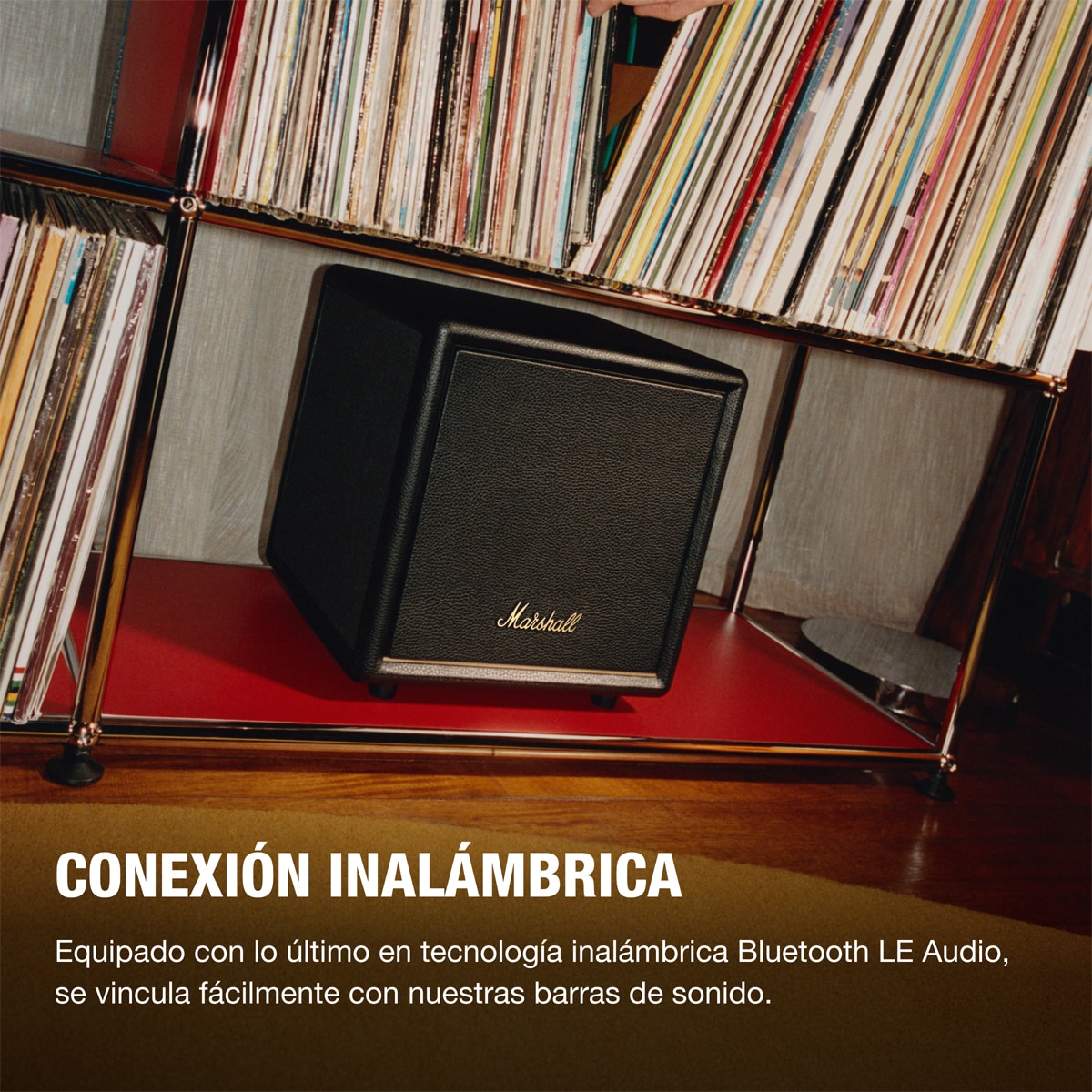 Subwoofer Marshall Heston SUB 200 Negro-4