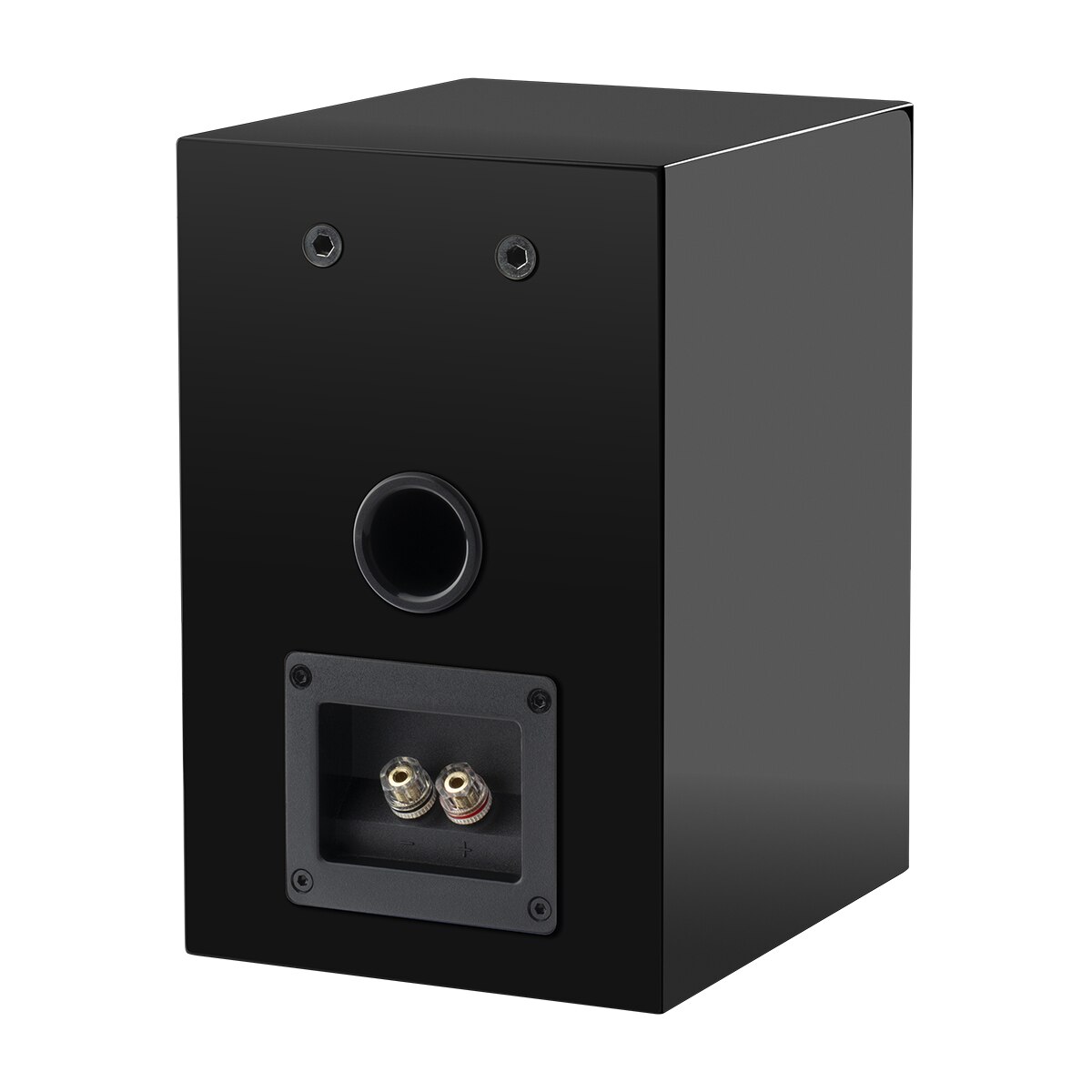 Altavoces HiFi Pro-Ject Audio Speaker Box 5 E Negro lacado (Pareja) Negro lacado-2