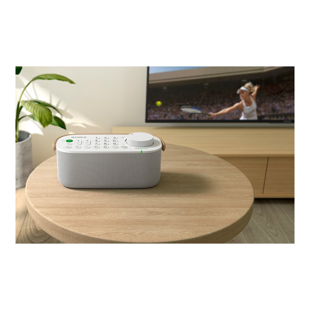 Coluna Portátil TV Sony SRS-LSR200 Branco-6