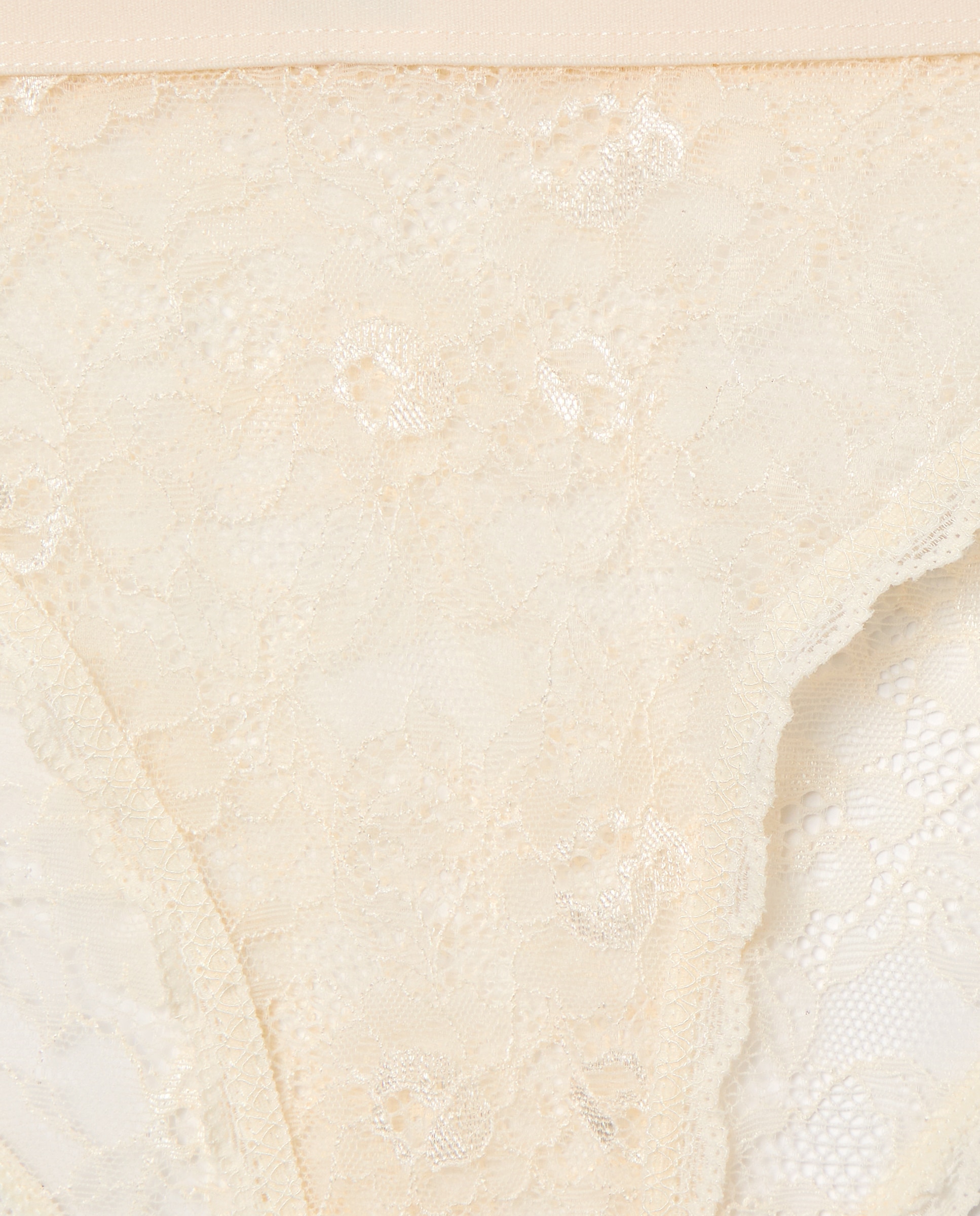 Cueca de Renda 250 Nude-4