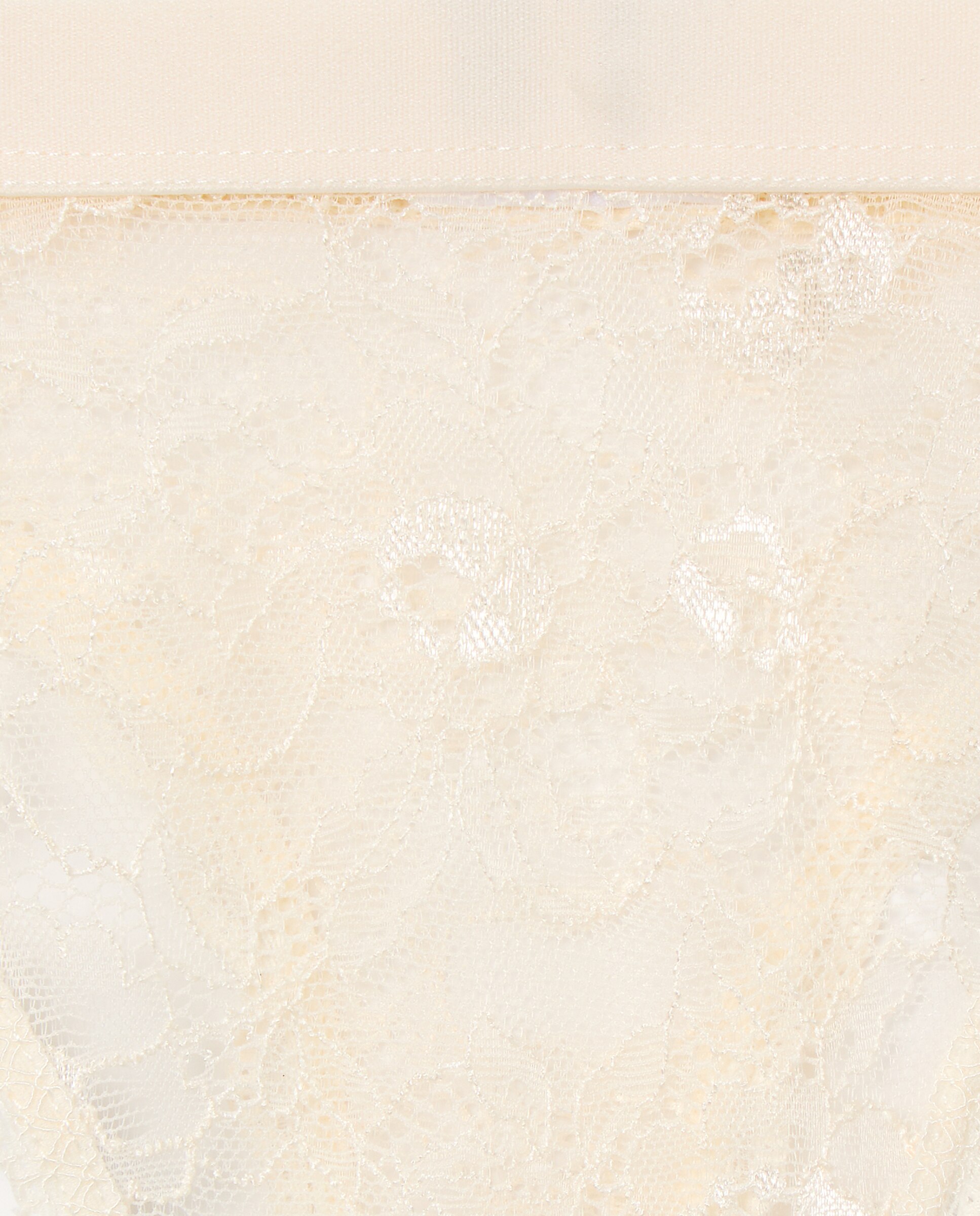 Cueca de Renda 250 Nude-4