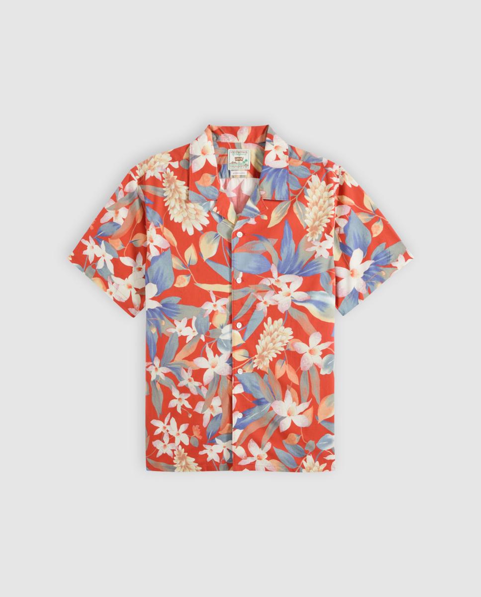 Camisa de Manga Curta Multicolor-5