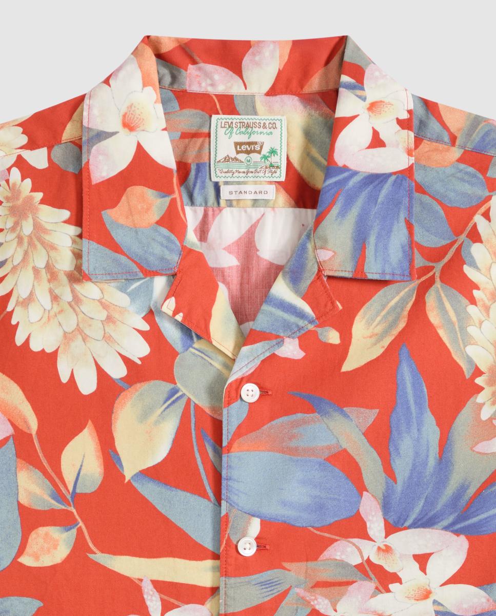 Camisa de Manga Curta Multicolor-6