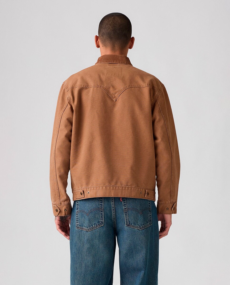 Blusão de Algodão Castanho-2