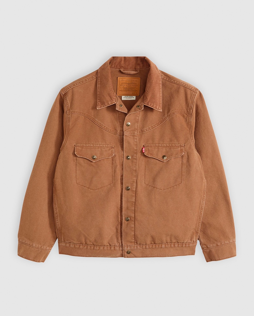 Blusão de Algodão Castanho-5