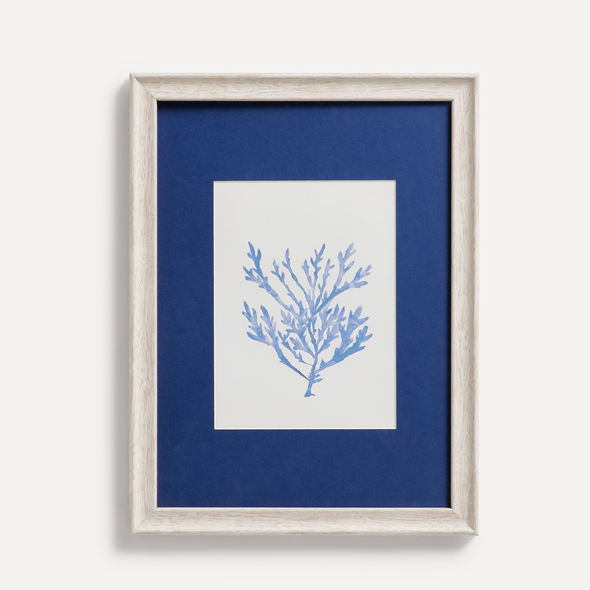 Quadro Cocus Azul-1