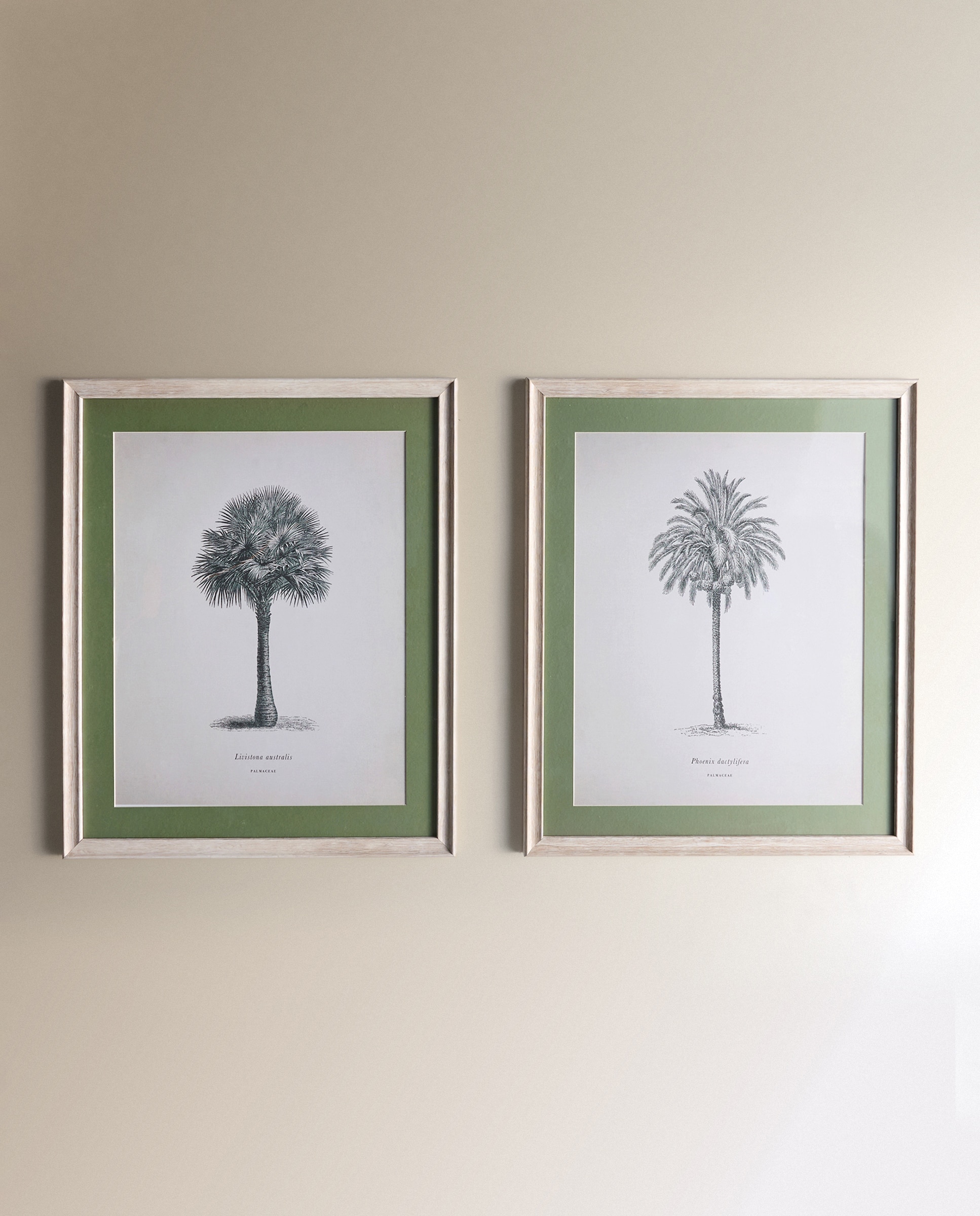 Conjunto de 2 quadros Palmeras I Verde-2