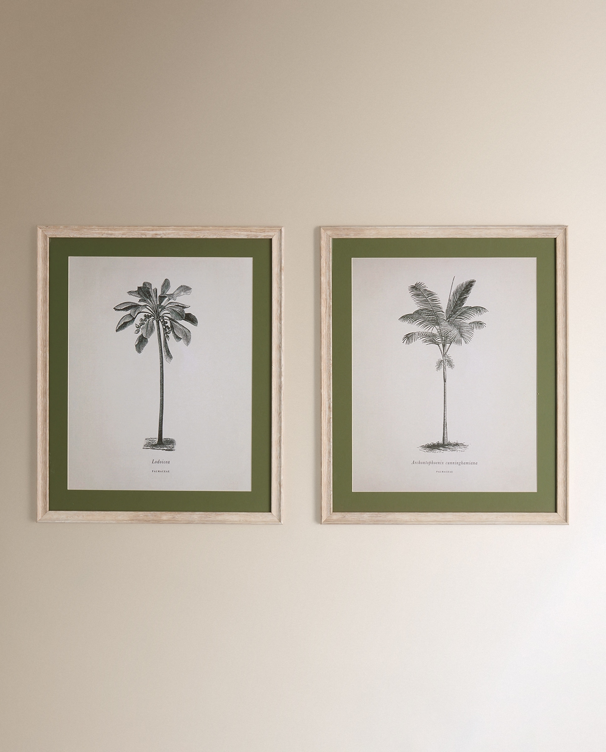 Conjunto de 2 quadros Palmeiras II Verde-2
