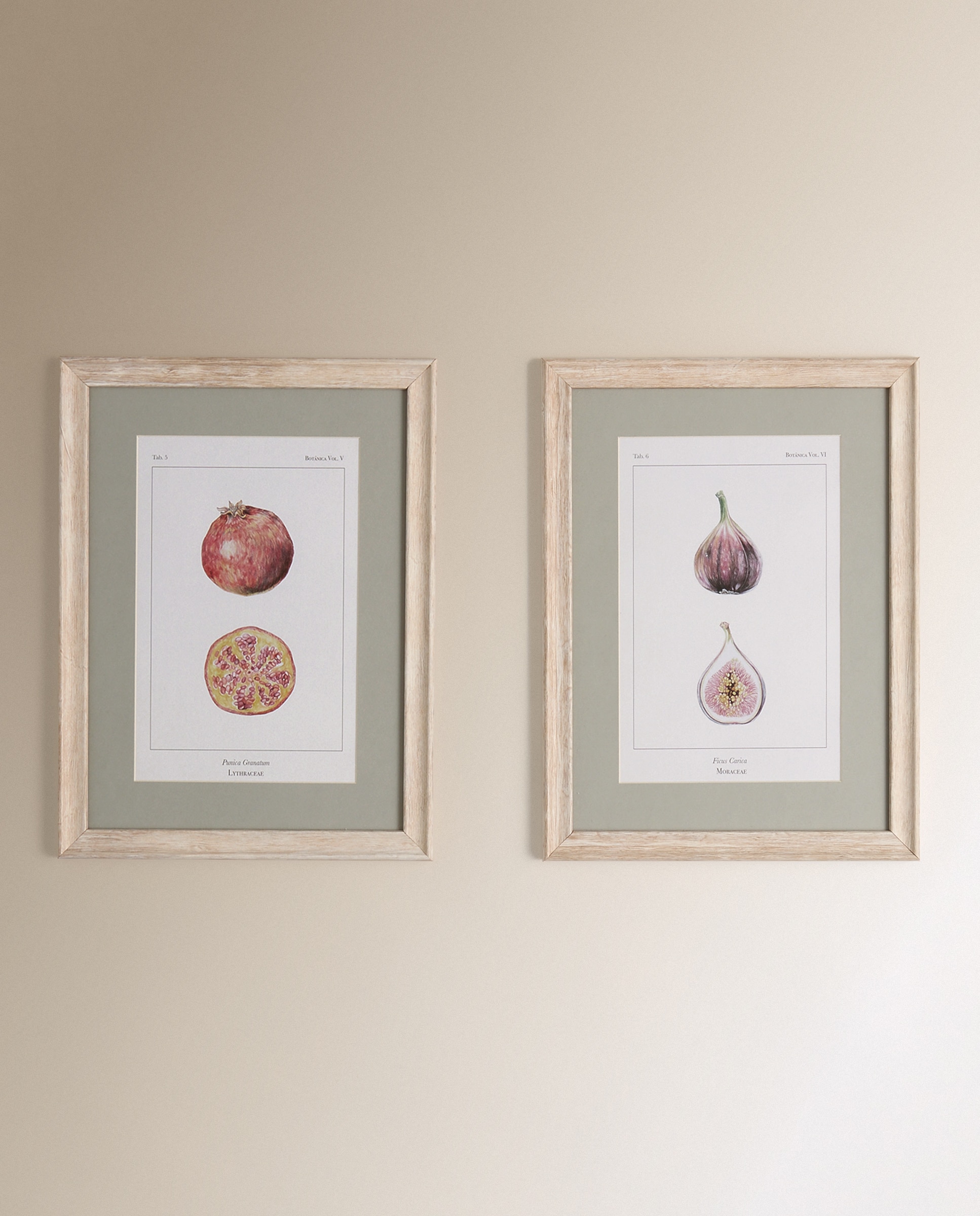 Conjunto de 2 quadros Frutas Multicolor-2