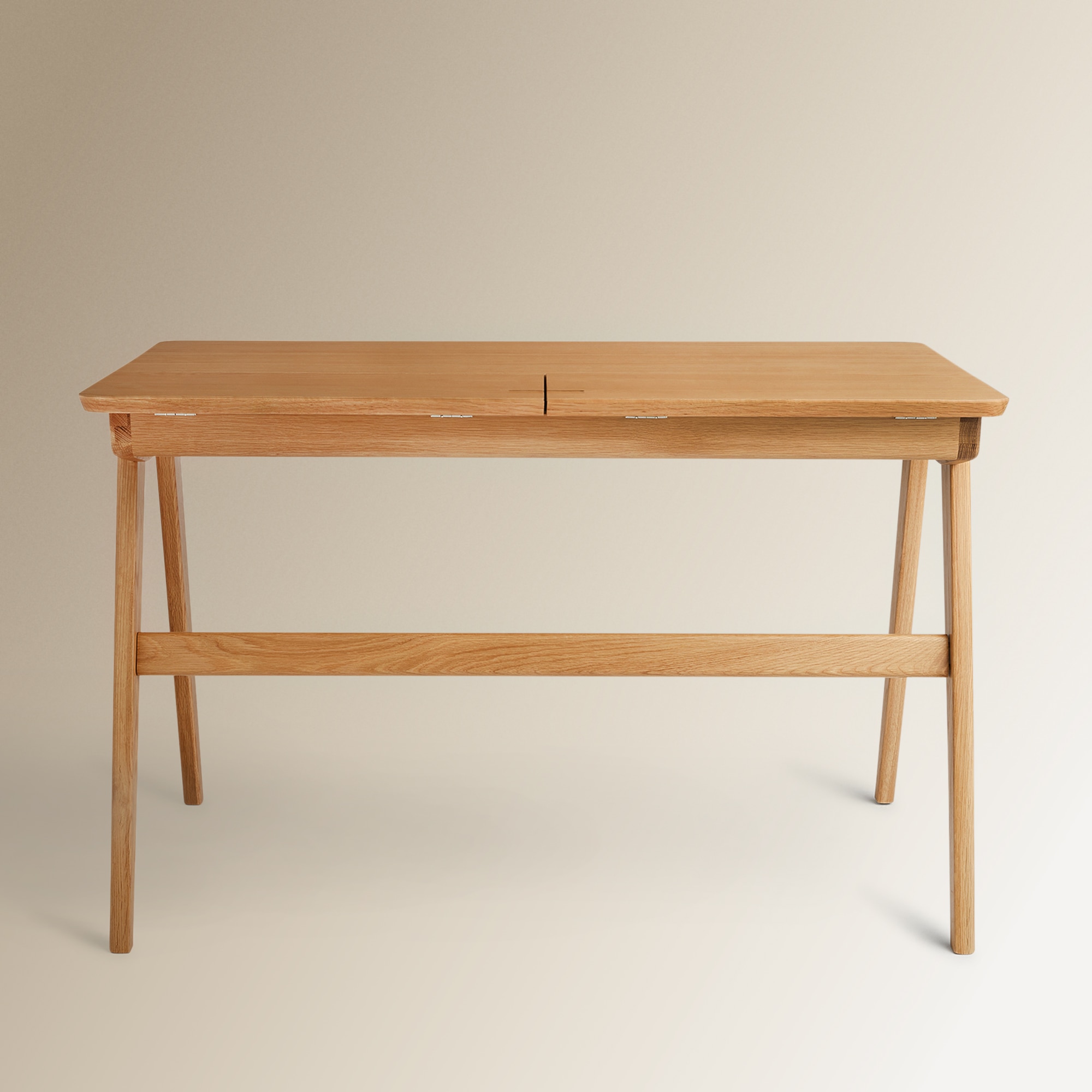 Secretária de Carvalho Edison Carvalho-9