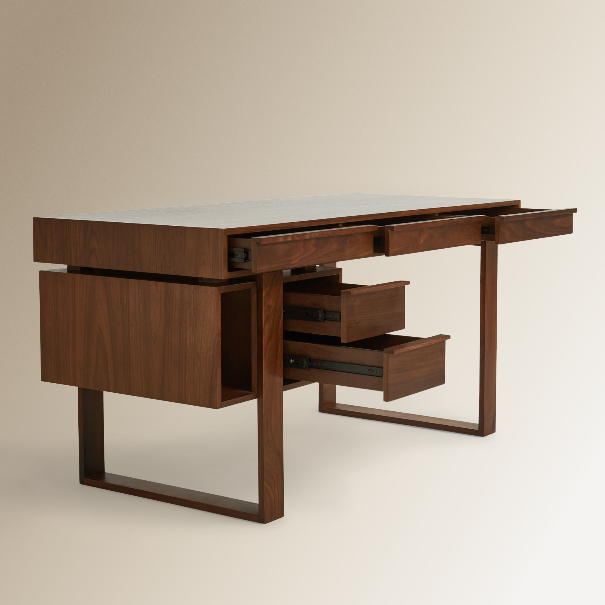 Secretária de Nogueira Denys Nogueira-5