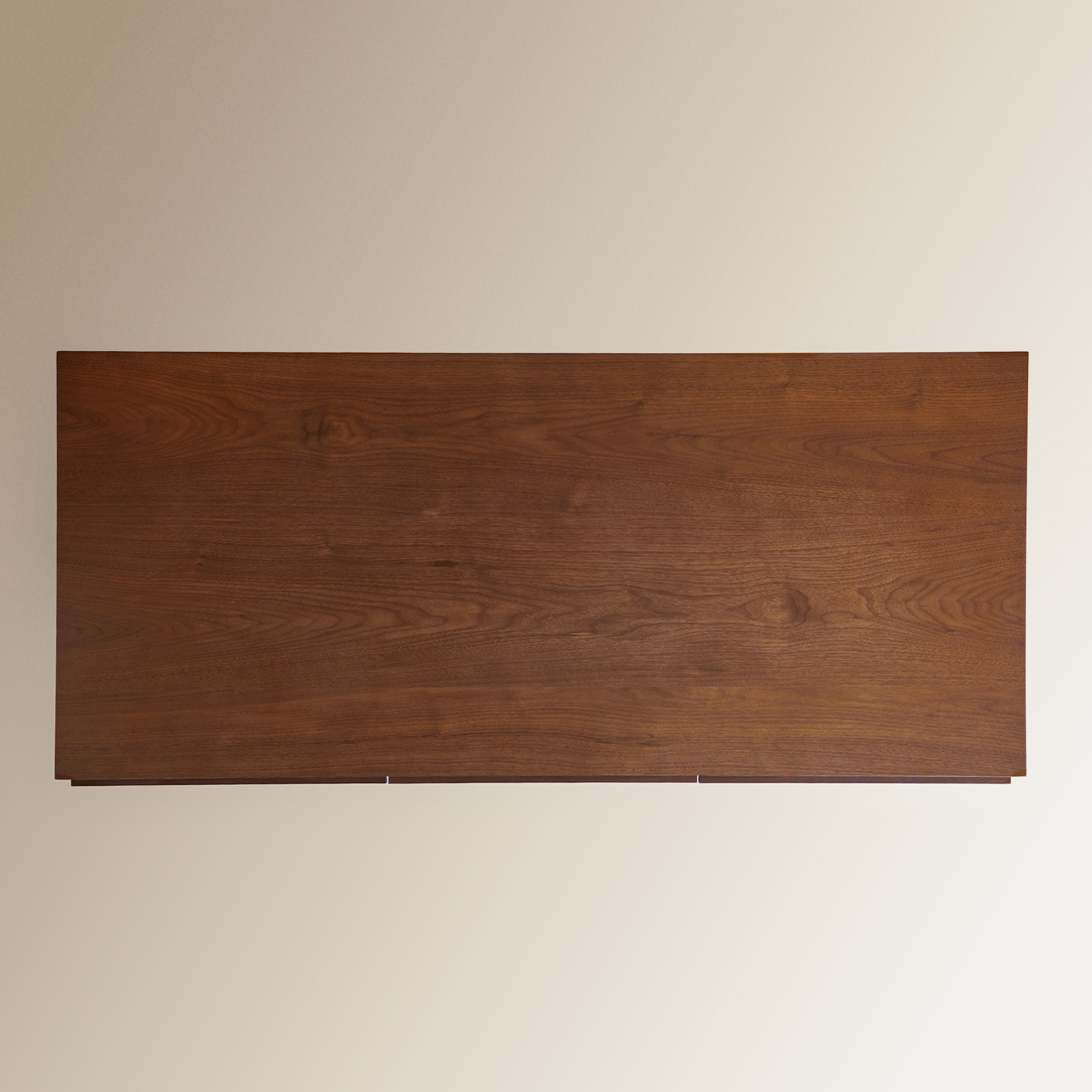 Secretária de Nogueira Denys Nogueira-8