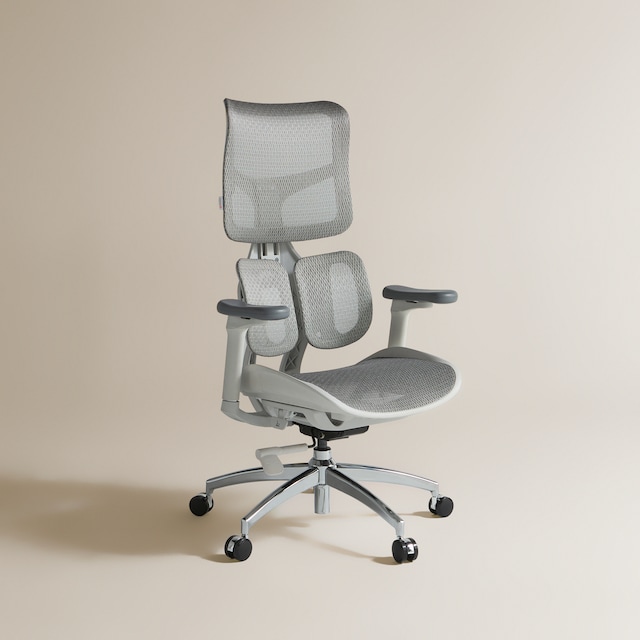 Imagem 0 de Cadeira de Secretária com Reforço Lombar Boston