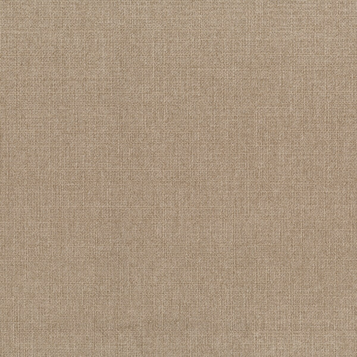 Amostra de tecido Corda bege Bege-1