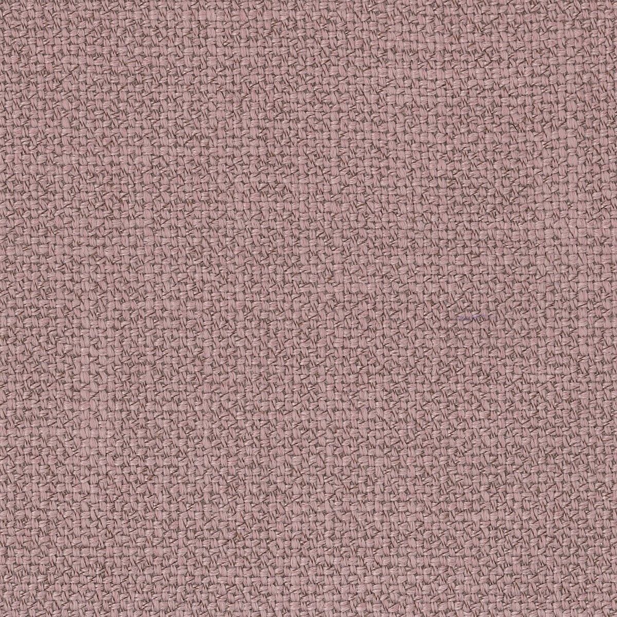 Amostra de tecido Bérgamo rosa Rosa-1