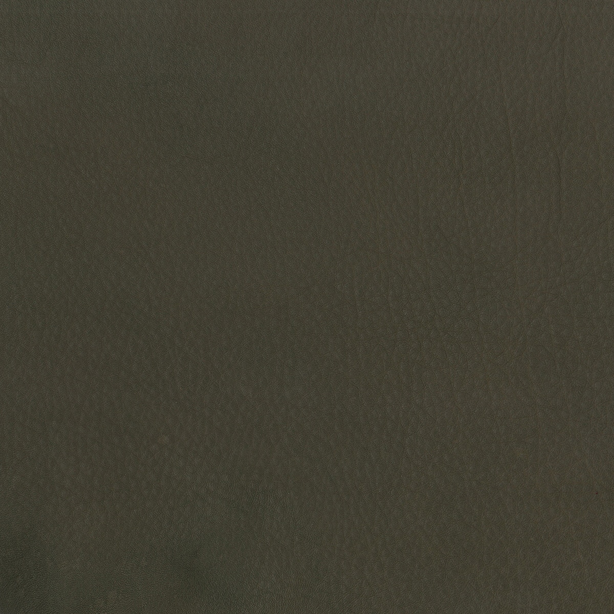 Amostra de pele taupe Taupe-1
