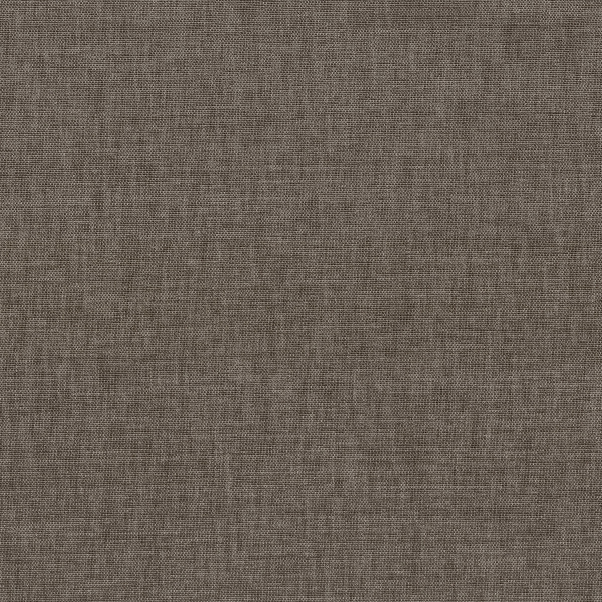 Bornéu Taupe Bornéu Taupe