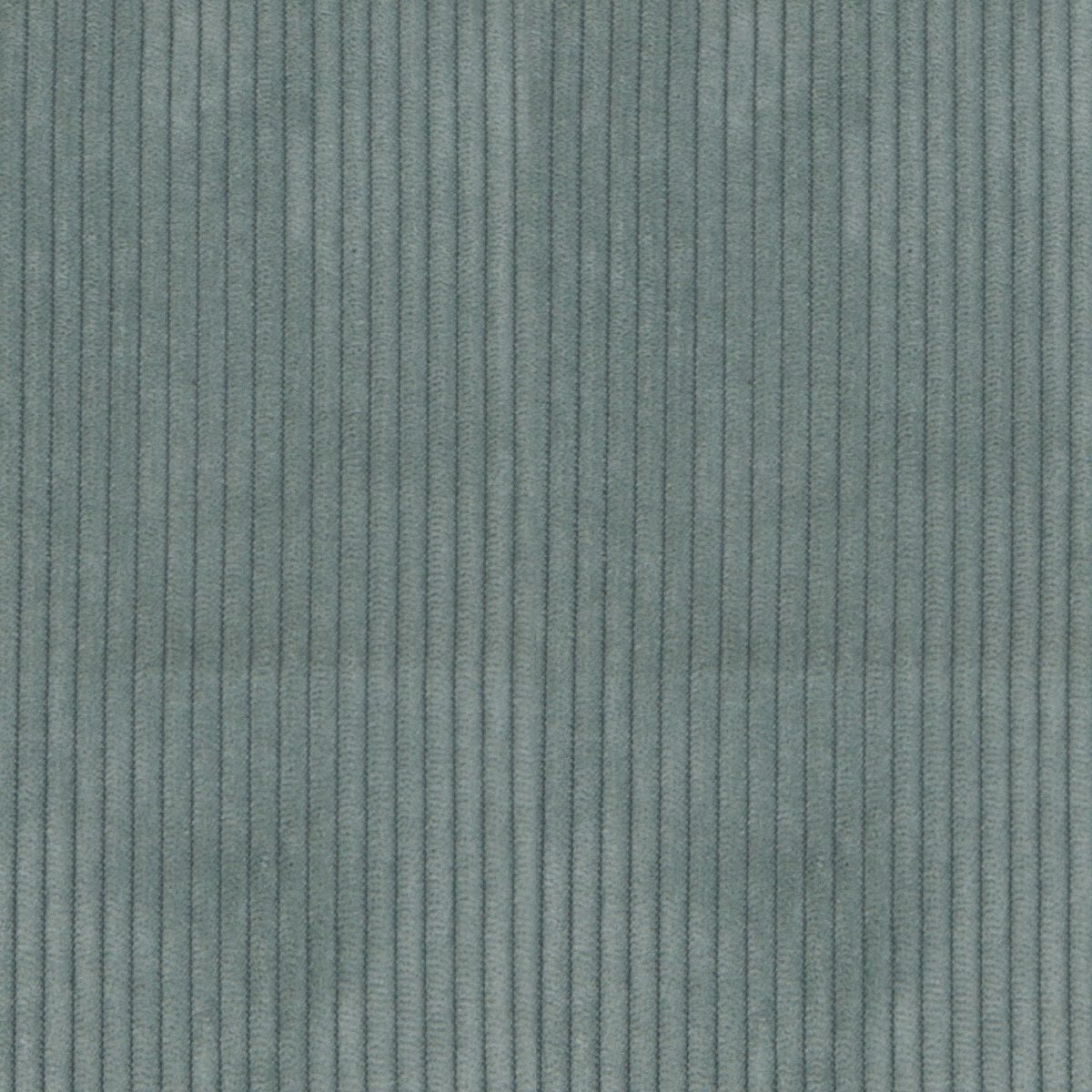 Aqua Aqua