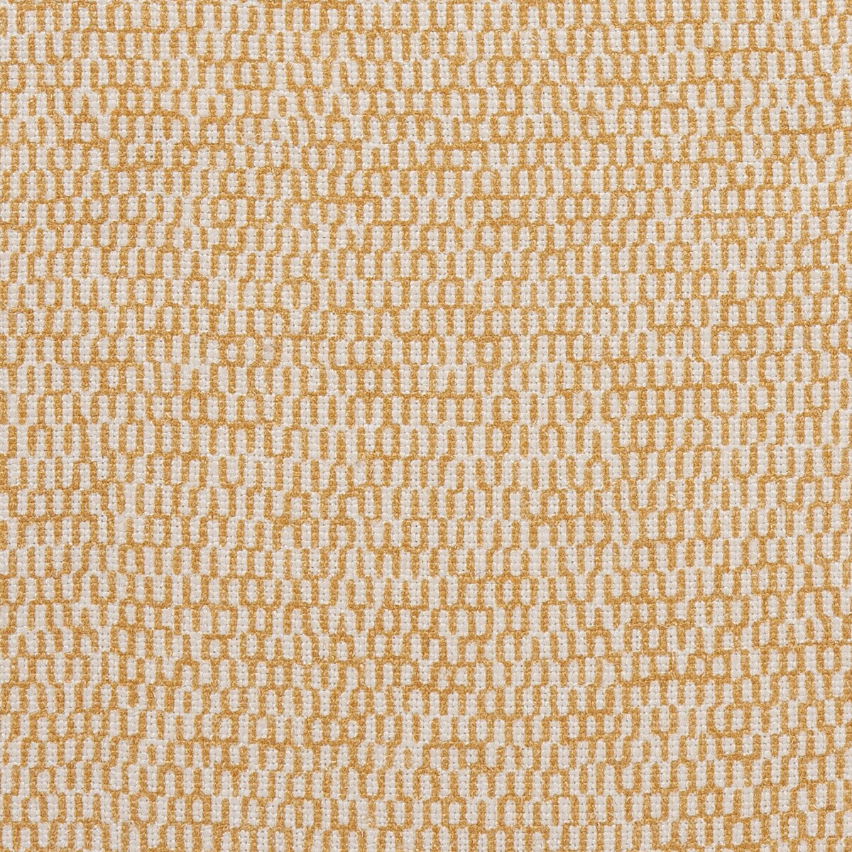 Baviera Amarelo Baviera Amarelo