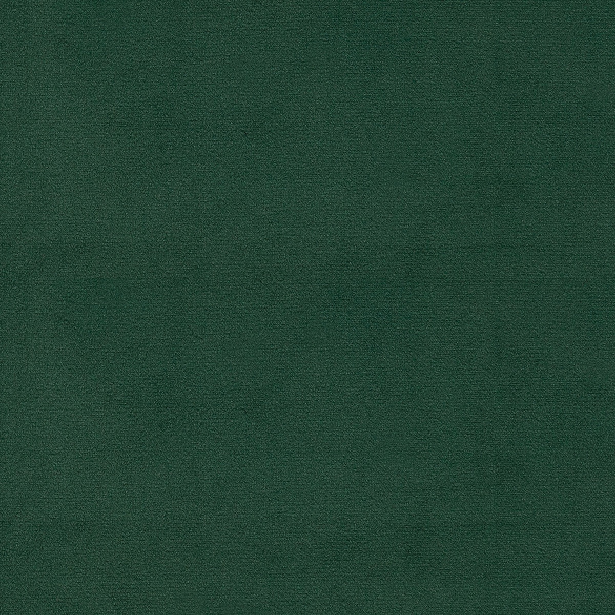 Paris Verde Paris Verde