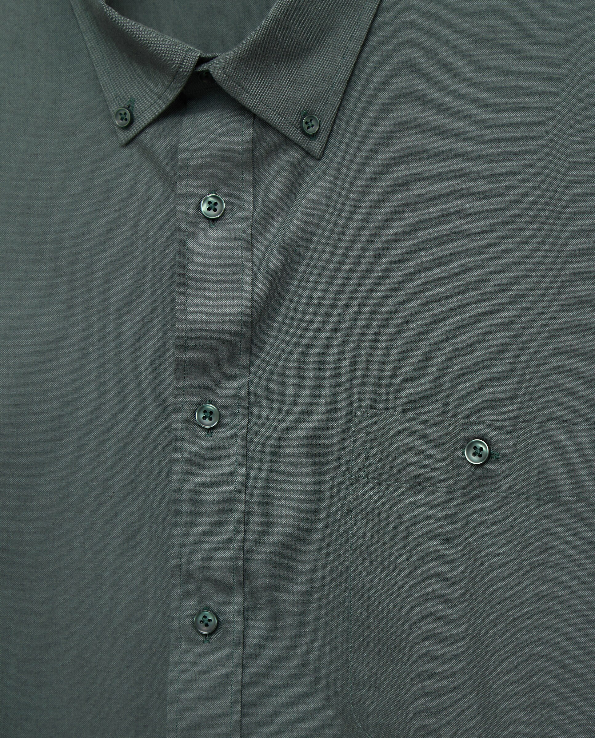 Camisa Oxford Lisa de Manga Comprida com Padrão Clássico Verde-6