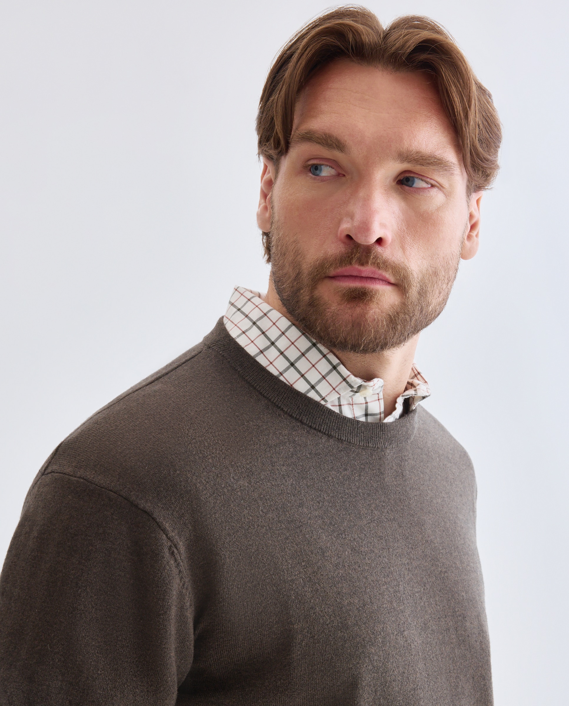 Jersey de hombre de cuello redondo liso algodón merino tallas grandes - Emidio Tucci - Marrón Marrón-1
