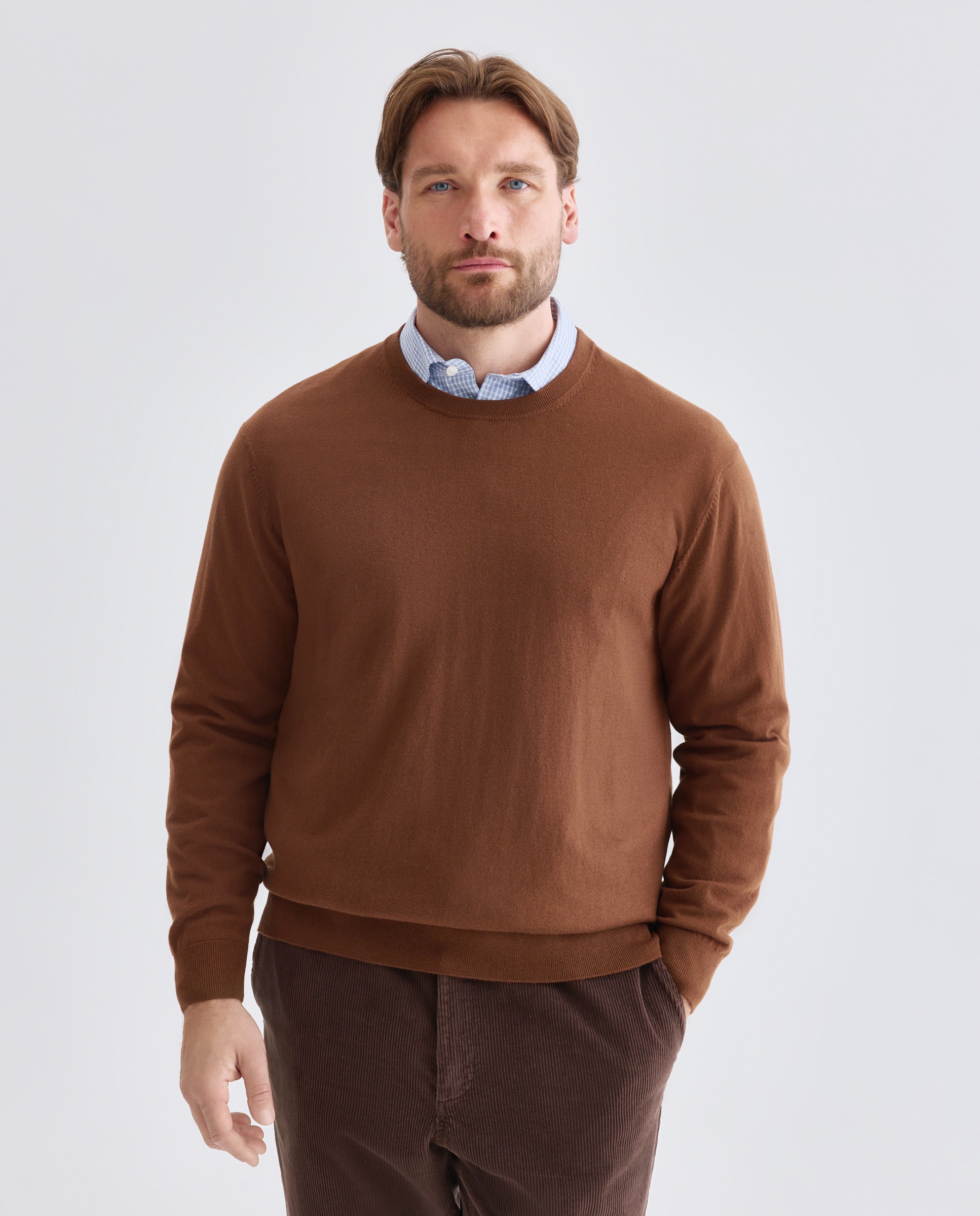 Imagem 0 de Camisola de Malha Lisa de Algodão Merino com Gola Redonda Tamanhos Grandes