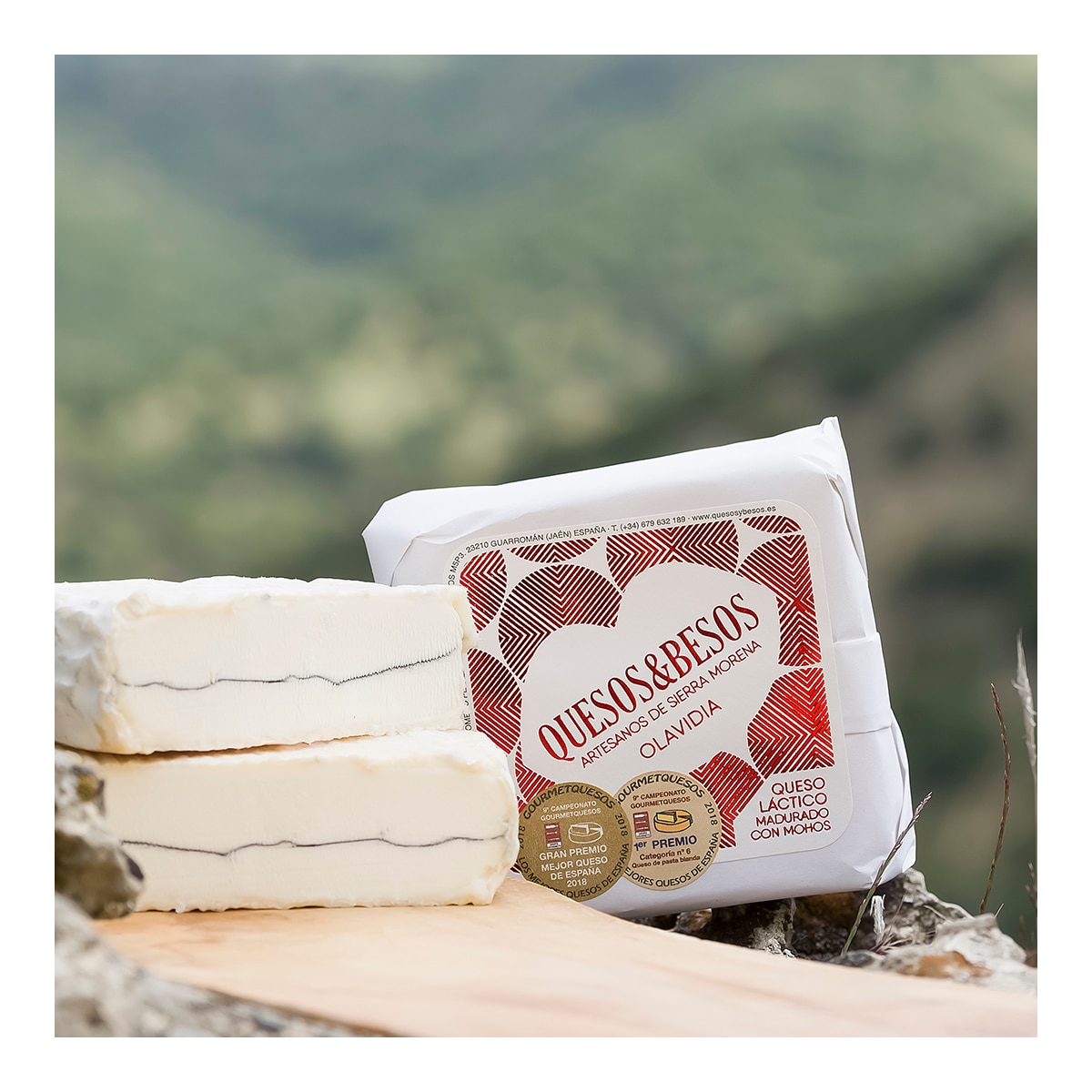Queso de cabra de coagulación láctica madurado con mohos Olavidia Quesos & Besos 3