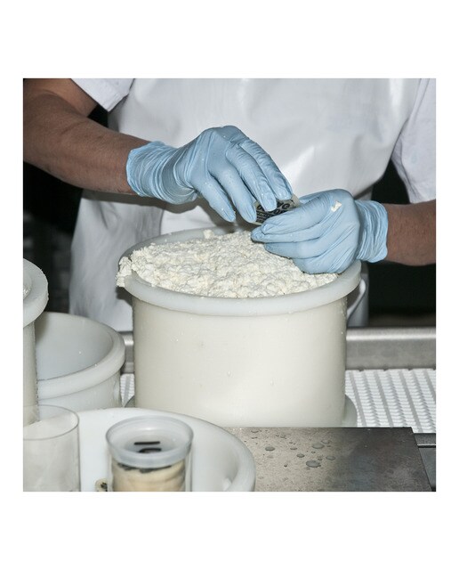 Queso de oveja añejo DOP Zamorano Vellón de Fuentesaúco La Antigua 6