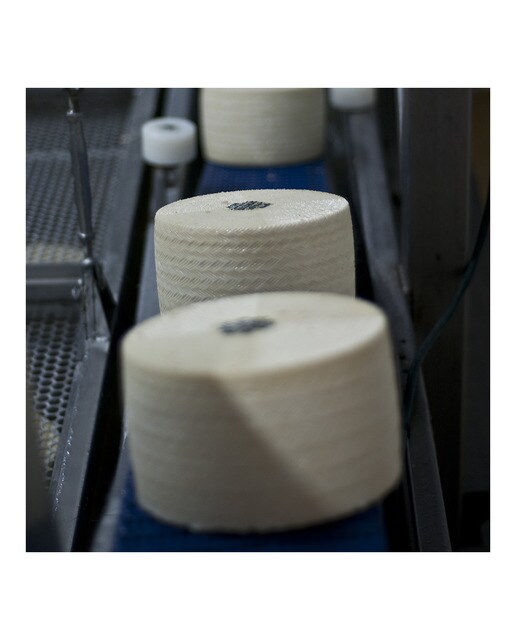 Queso de oveja añejo DOP Zamorano Vellón de Fuentesaúco La Antigua 7