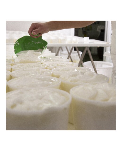 Queso de cabra madurado Carbonero 5