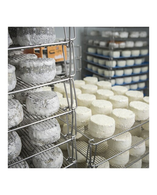 Queso de cabra madurado Carbonero 7