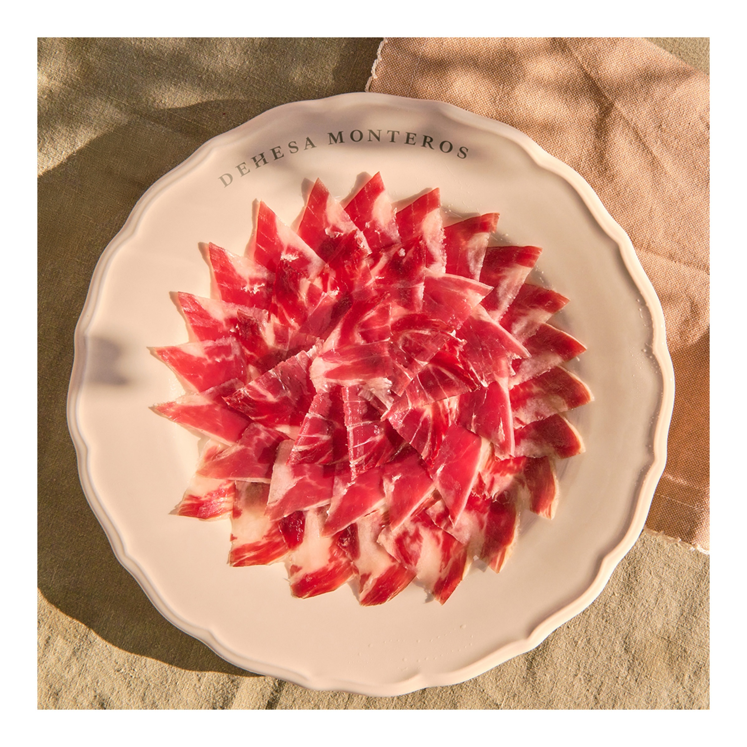 Paleta de bellota 100% Ibérica edición limitada Dehesa Monteros 4,5 kg 4