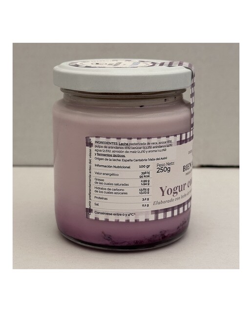 Yogur con arándanos Bien Aparecida 2