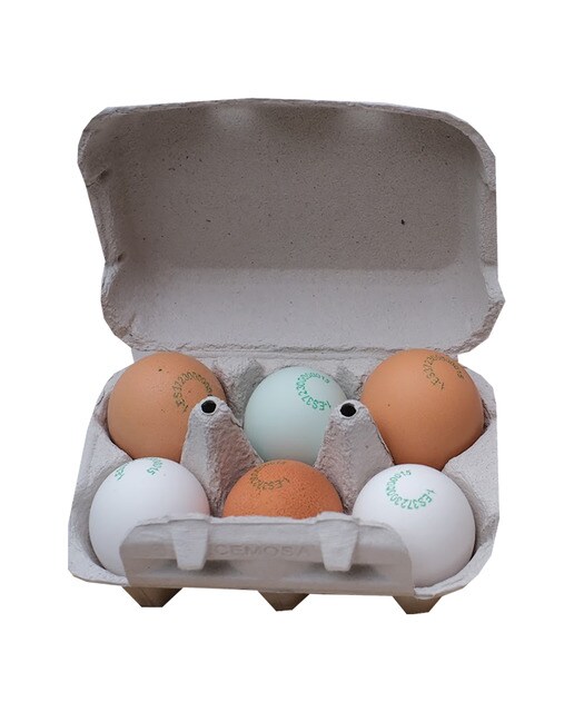 Imagen 0 de Huevos de gallinas criadas en libertad Cobardes y Gallinas